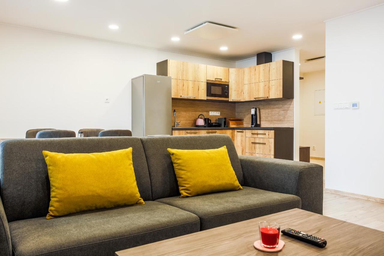 Apartmány Na Výhledech Loučná pod Klínovcem Exterior foto